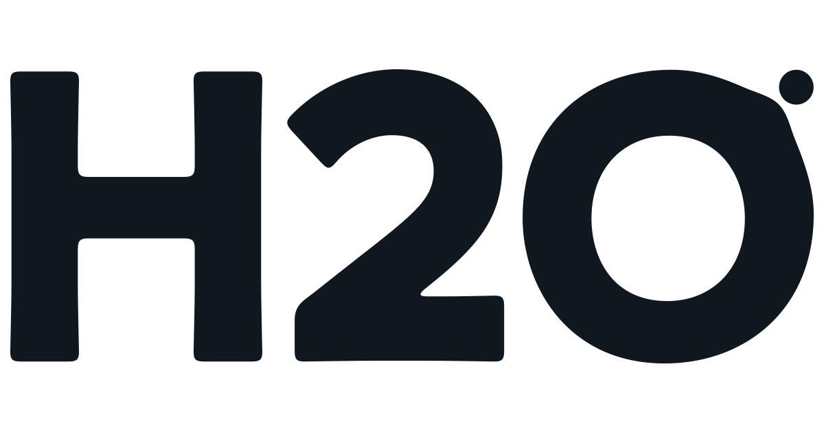 20200204 H2O Hospitality CI - 와우테일