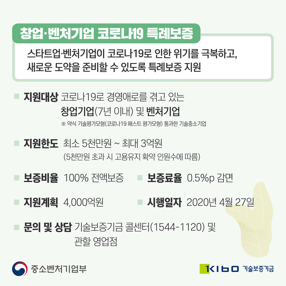 코로나19 특례보증 - 와우테일