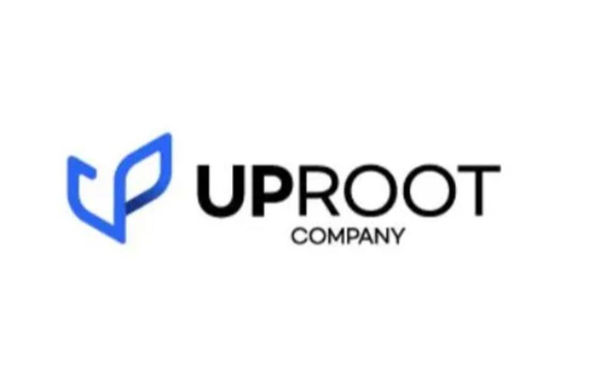 wowtale.net uproot - 와우테일