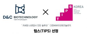 wowtale.net wowtale.net tips - 와우테일