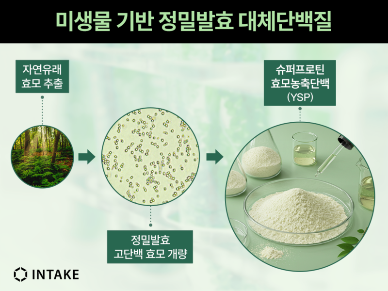INTAKE - 와우테일
