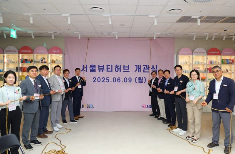 Seoul Beauty Hub - 와우테일