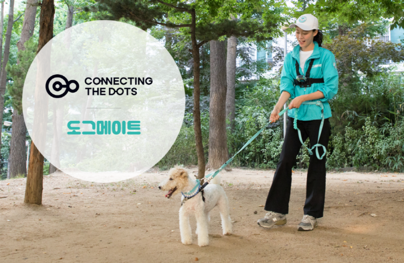 connectdots - 와우테일