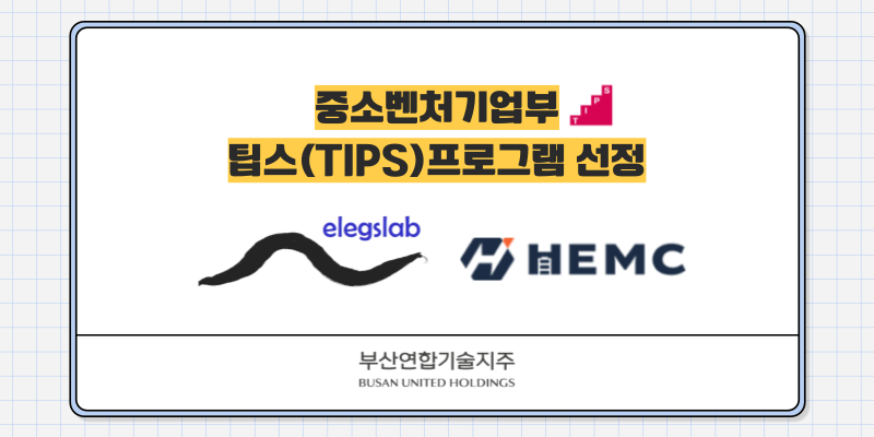 엘렉스랩HEMC TIPS 선정 - 와우테일