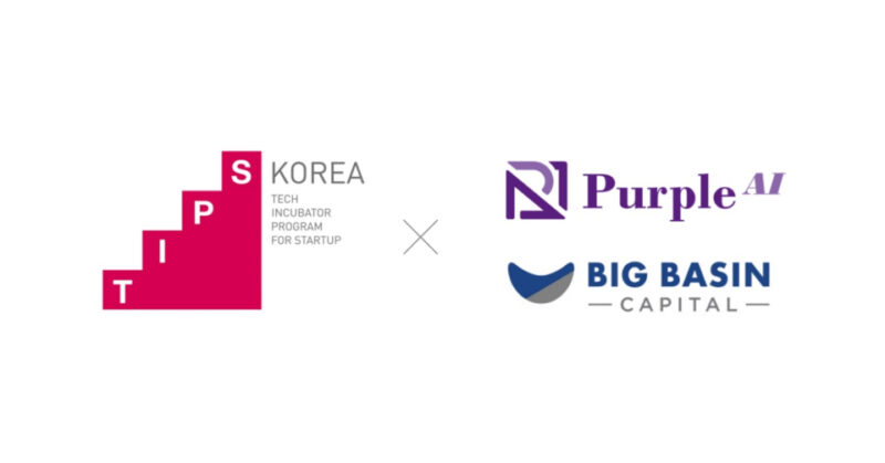 purple ai deeptech TIPS - 와우테일