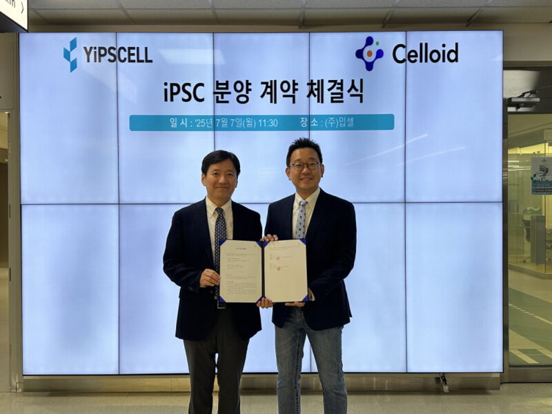yipscell - 와우테일