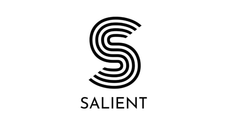 Salient logo - 와우테일