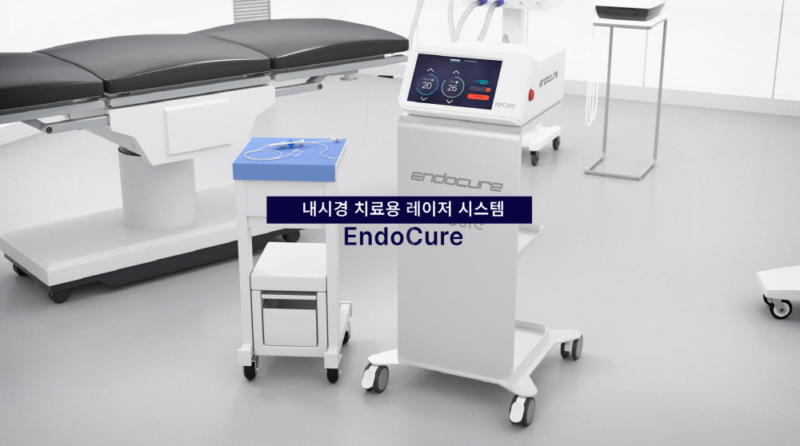 TCure - 와우테일