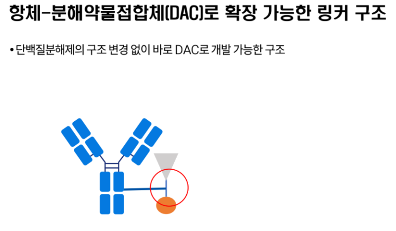 hyconsl11 - 와우테일