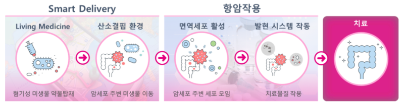 synrx - 와우테일