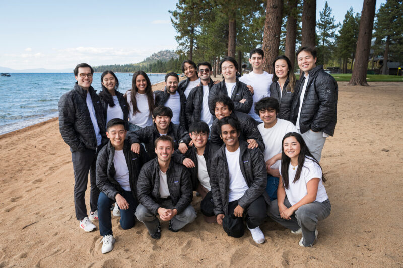 david ai team - 와우테일