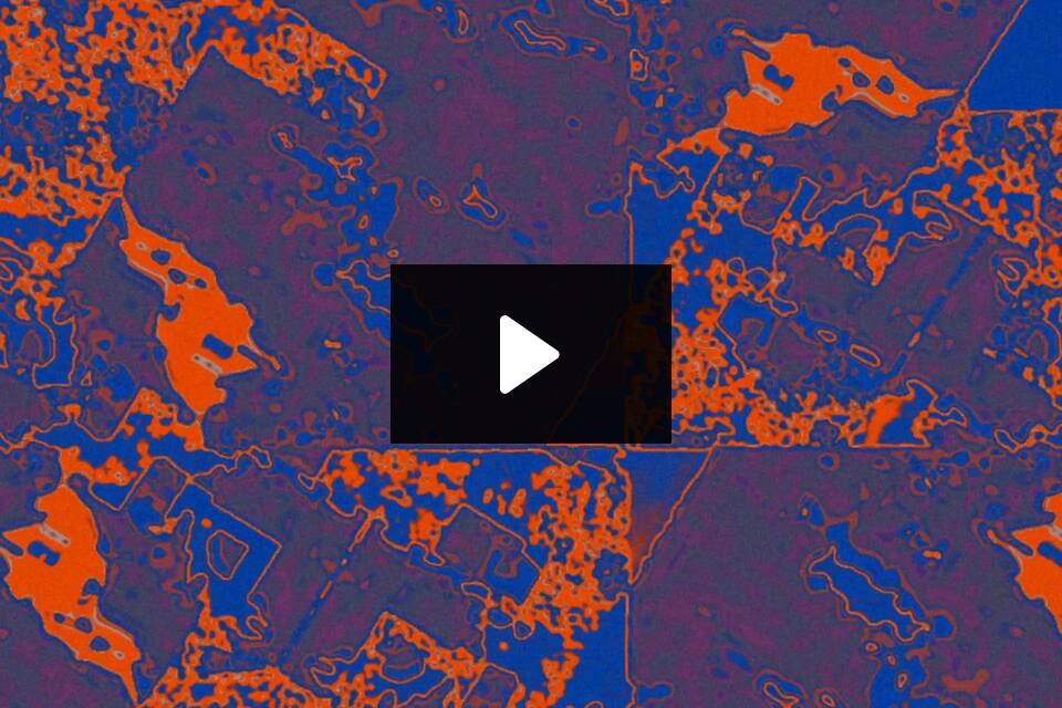 image 2 - 와우테일