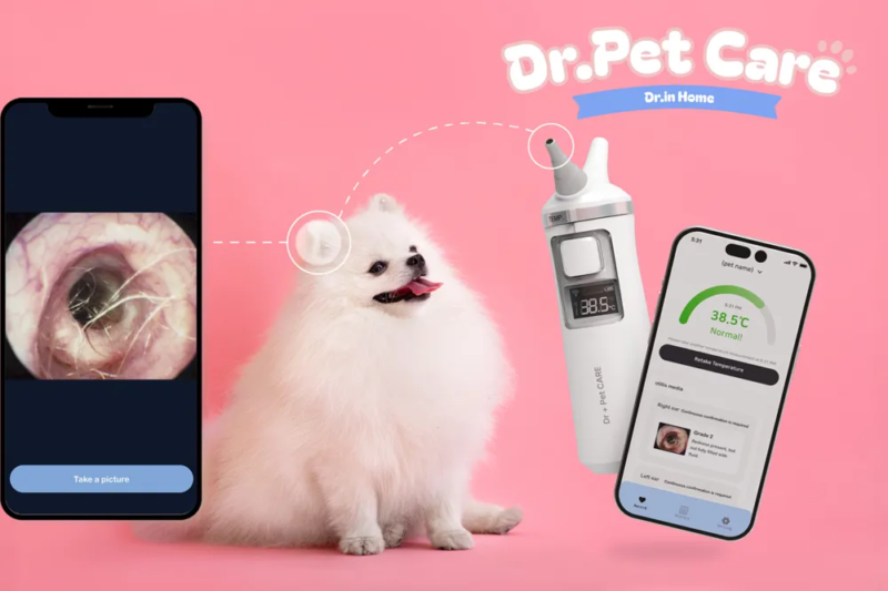 %EB%B6%99%EC%9E%84%EC%9E%90%EB%A3%8C2 - 와우테일