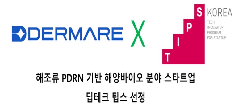 DERMARE1 - 와우테일