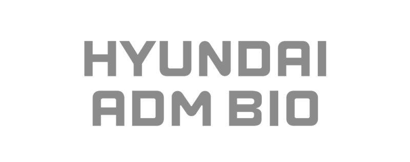 HYUNDAI ADM - 와우테일