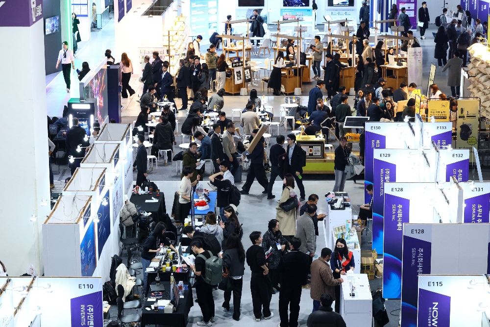 comeup2025 4 - 와우테일