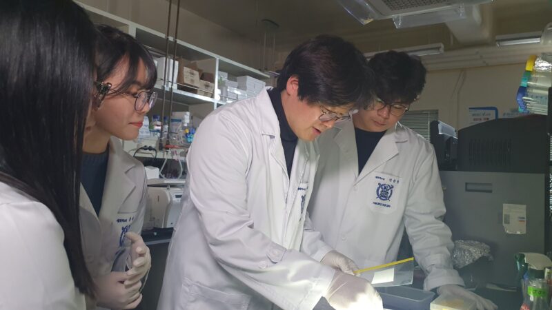 1574318058052 1 - 와우테일