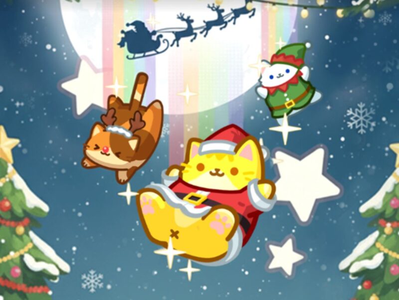 actionfit - 와우테일