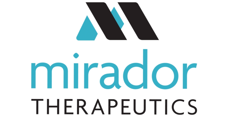 mirador logo - 와우테일