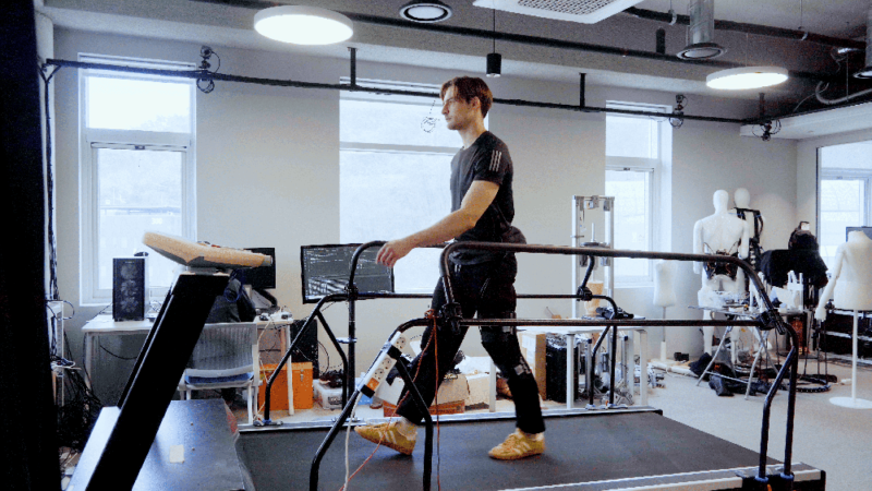 rebodis 2 - 와우테일