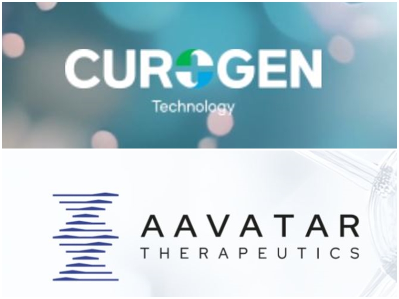 AAVATAR - 와우테일