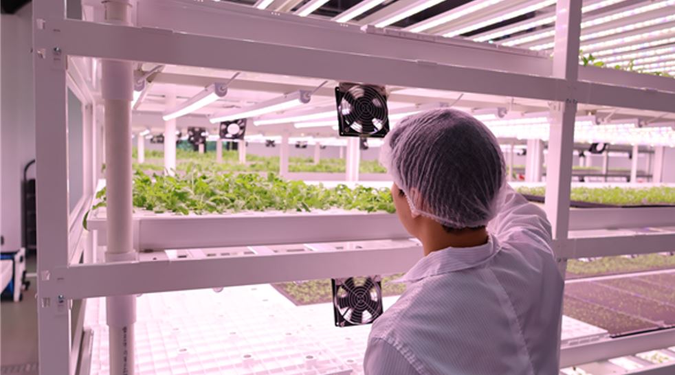 GroWISE - 와우테일