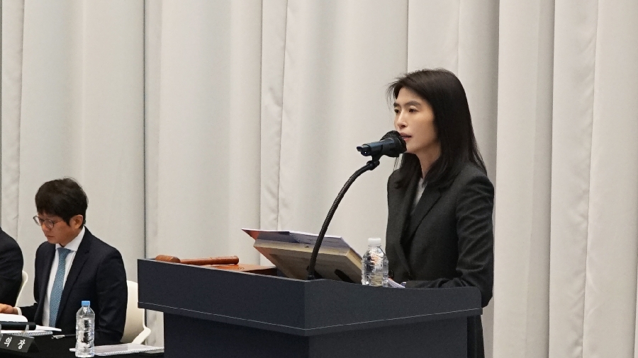 KAKAO CEO 2 - 와우테일