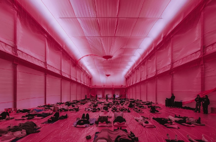 불임. 2025 ‘나우오어네버 페스티벌 현장 사진1 - 와우테일