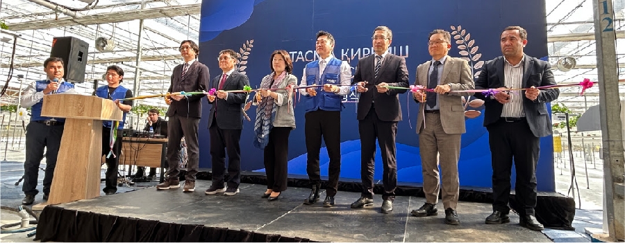 FIRMMIT 1 - 와우테일