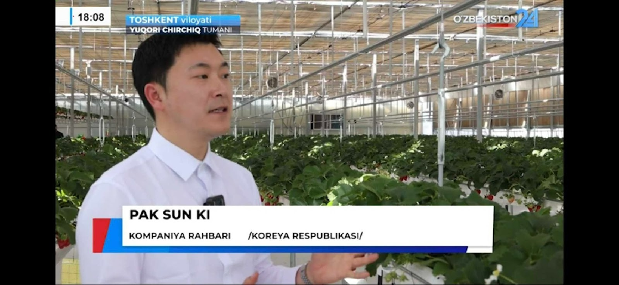 FIRMMIT 2 - 와우테일