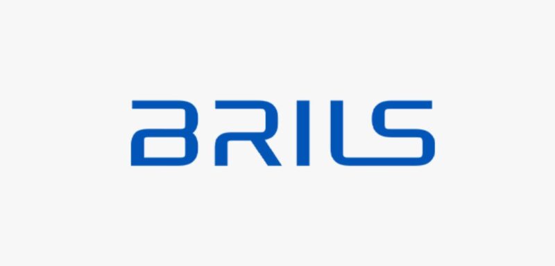 brils - 와우테일